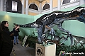 VBS_1014 - Dinosauri. Terra dei giganti